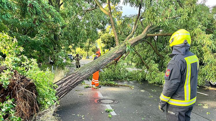 Gewitter in Berlin und Brandenburg