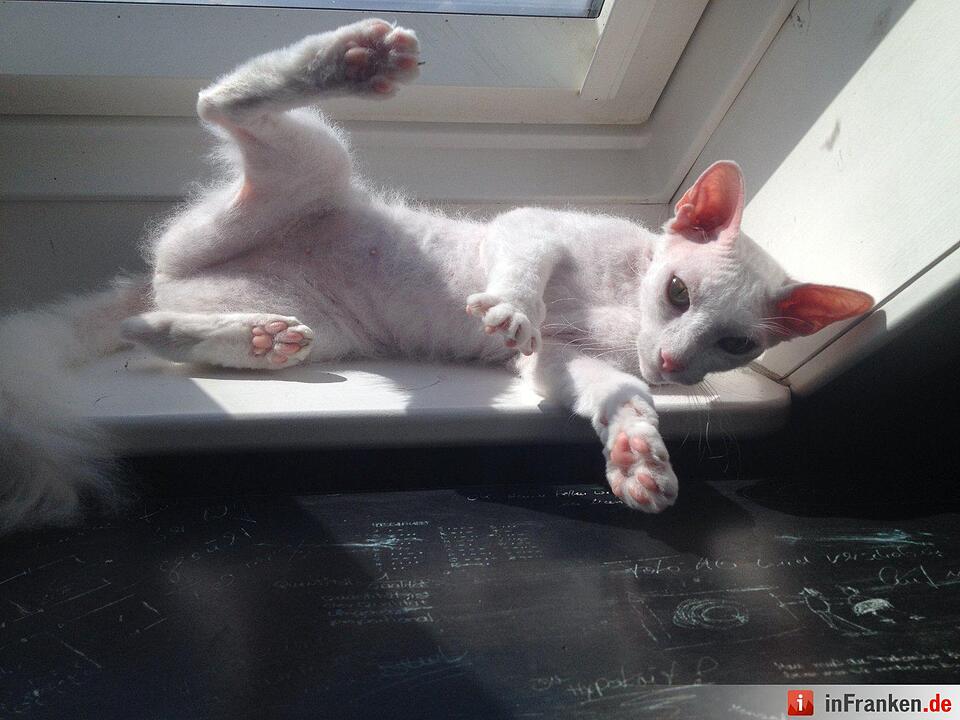 Foto: musictilldeath