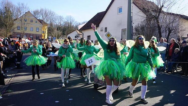 Faschingszug in Zeitlofs. Foto: Marion Eckert