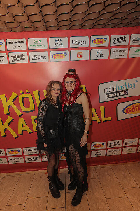 Fasching 2025 in Schweinfurt!