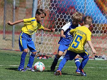 Mettermichcup in Schondra: Feiner Fu&szlig;ball und faire Spiele