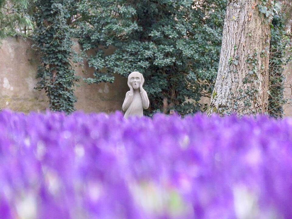 Die schönsten Frühlingsfotos aus Haßfurt und Umgebung