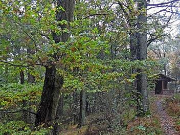 Der Steigerwald sollte in den Kreis der Nationalparkkandidaten wieder aufgenommen werden - das forderte IHK-Präsident Trunk.  Foto: MW