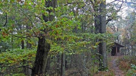 Der Steigerwald sollte in den Kreis der Nationalparkkandidaten wieder aufgenommen werden - das forderte IHK-Präsident Trunk.  Foto: MW