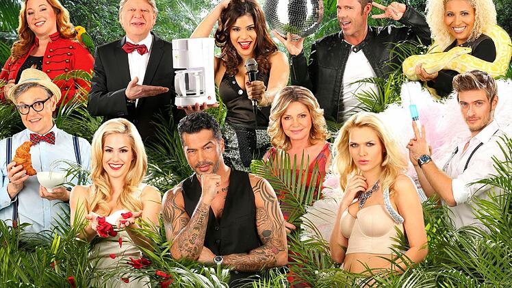 oben v.l.: Rebecca Siemoneit-Barum (37, Lindenstraße-Star), Walter Freiwald (60, Moderator), Tanja Tischewitsch (22, DSDS-Sternchen), Benjamin Boyce (46, Ex-Boygroup-Sänger), Patricia Blanco (43, Promi-Tochter); unten v.l.: Rolfe Scheider (58, Ex-Topmodel-Juror), Angelina Heger (22, Bachelor-Finalistin), Aurelio Savina (37, Model und Bachelorette-Kandidat), Maren Gilzer (54, Schauspielerin und Glücksfee), Sara Kulka (24, Model), Jörn Schlönvoigt (28, GZSZ-Star). Alle Infos zu "Ich bin ein Sta...