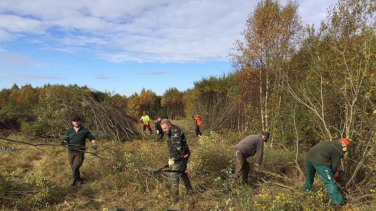 Ehrenamtliche Helfer richteten das Rote Moor f&uuml;r das Birkhuhn her.  Foto: Thorsten Raab