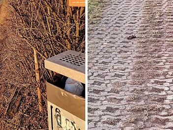 Ekel-Fotos aus dem Raum Coburg sorgen für Kopfschütteln - "da schämt man sich"