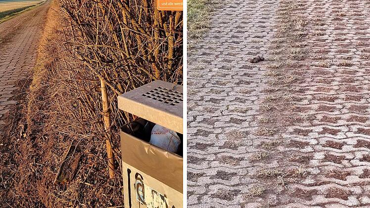 Ekel-Fotos aus dem Raum Coburg lösen Kopfschütteln aus - "da schämt man sich"