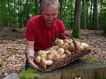 Selbst in seinem heimischen Sulzthaler Wald hat Otmar Diez Steinpilze gefunden, deutlich größere Vorkommen des wohl bekanntesten Pilzes gibt es jedoch im Neuwirtshauser Forst. Foto: privat