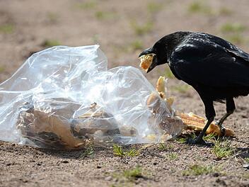 Foto: Patrick Seeger, dpa