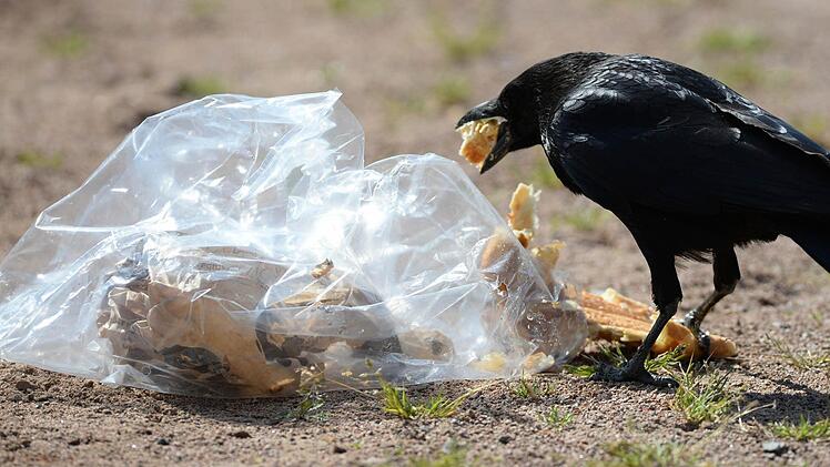 Foto: Patrick Seeger, dpa