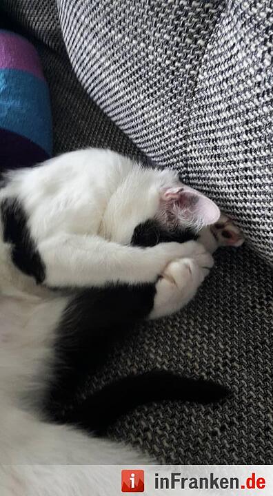 Foto: Vanessa Oberholz