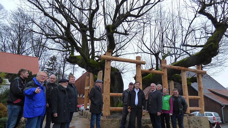 Ortstermin mit Landrat, Bürgermeister, Behördenvertretern und Wichsensteiner Bürgern vor der imposanten Tanzlinde Foto: Thomas Weichert