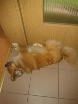 Foto: Missy-W
