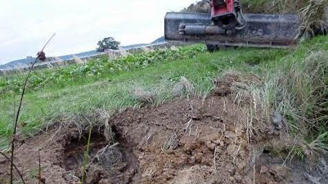 Die Biberröhren wurden mit einem Bagger aufgegraben und wieder verfüllt. Im Bild: ein Biberbau am Ende einer Röhre.