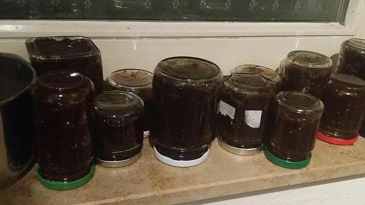 Und so sieht das fertig aus: Bacon Jam, Die Gläser werden wie bei richtiger Marmelade auf den Kopf gestellt.