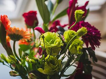 Dieser Anblick erfreut - doch leider nicht immer sehr lange. Wir haben Tipps und Tricks, mit denen Sie die Haltbarkeit von Schnittblumen verlängern. Bild: louishansel/ unsplash.com