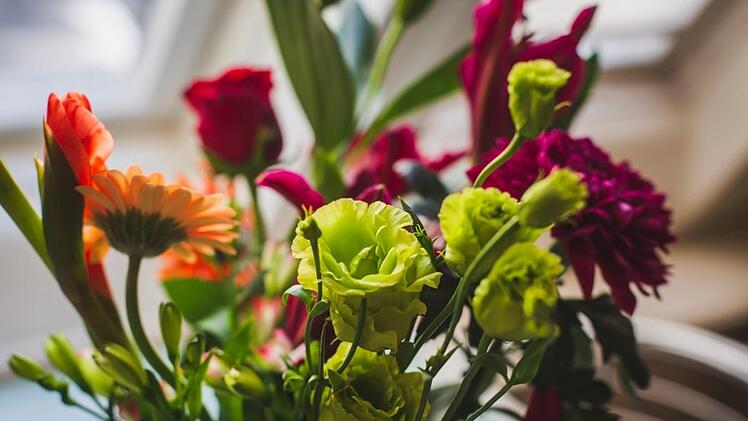 Dieser Anblick erfreut - doch leider nicht immer sehr lange. Wir haben Tipps und Tricks, mit denen Sie die Haltbarkeit von Schnittblumen verlängern. Bild: louishansel/ unsplash.com