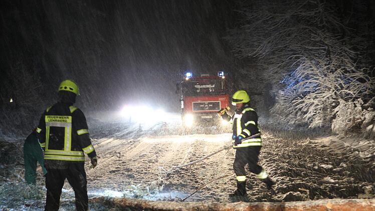 Foto: News5/Merzbach