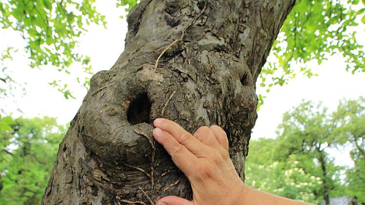 Foto: Christian Bauriedel