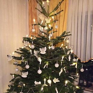 Weihnachten in Franken: Die Christbäume unserer Leser