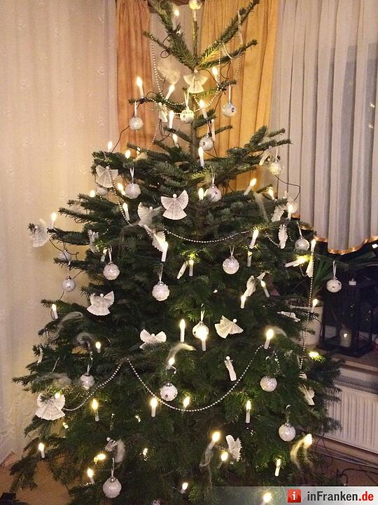 Weihnachten in Franken: Die Christbäume unserer Leser