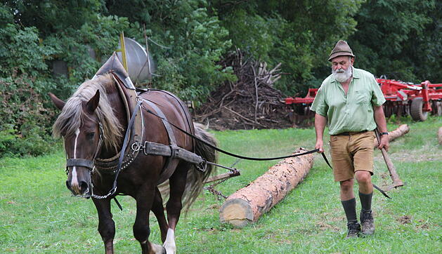 Kreisheimattag Bimbach