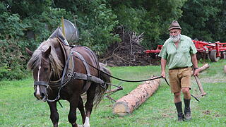 Kreisheimattag Bimbach