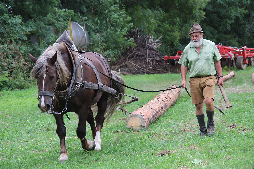 Kreisheimattag Bimbach