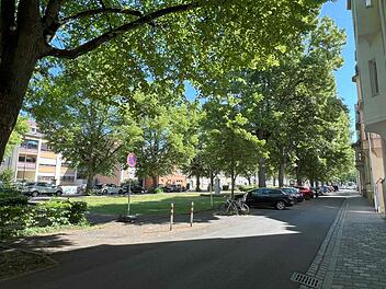 Baumpflegearbeiten in Bamberg - hier kommt es kommende Woche zu Sperrungen Baumpflegearbeiten in Bamberg - hier kommt es kommende Woche zu Sperrungen