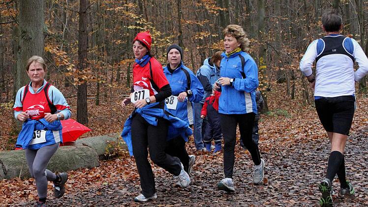 Die Strecke führte durch herrlichen Herbstwald.