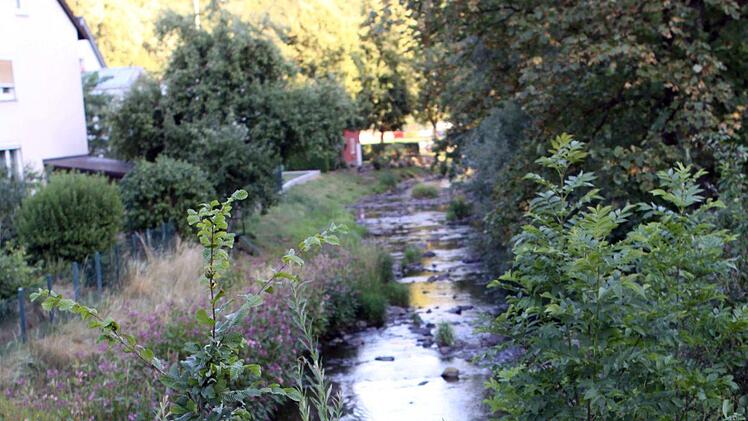 In diesem Bereich südlich von Steinberg soll ein Fußsteig über den Fluss kommen. Über das Wie war man sich wieder nicht einig.