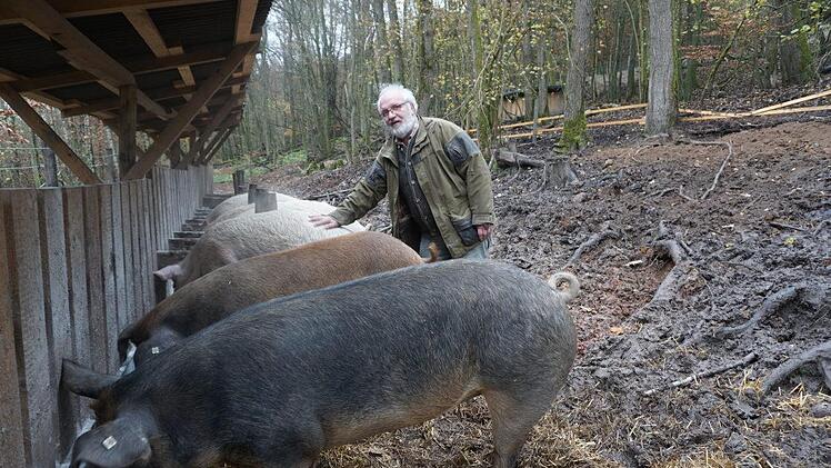 Joachim Manke inmitten seiner Schützlinge, die sich genüsslich über das  Getreideschrot hermachen.
