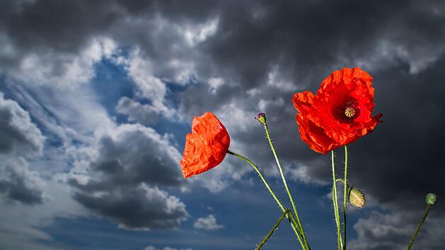 Wird es nochmal frostig? Experte beschreibt besondere Wetterlage in Franken f&uuml;r diese Jahreszeit