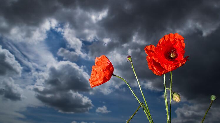 Sonne, Wolken, Frühling