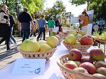 W&uuml;rzburg: Erster Streuobstmarkt war voller Erfolg - welche Attraktionen zahlreiche Besucher anlockten