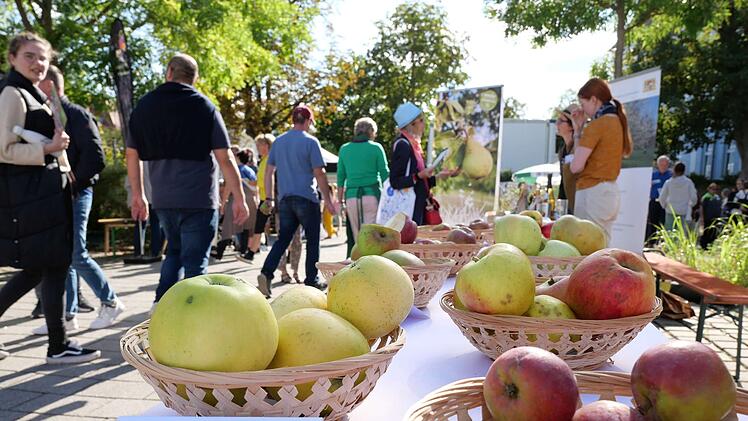 W&uuml;rzburg: Erster Streuobstmarkt war voller Erfolg - welche Attraktionen zahlreiche Besucher anlockten