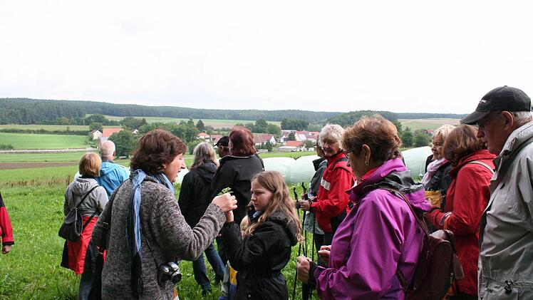 Pflanzen bestimmen auf einer Wiese. Im Hintergrund ist der Ort Dutendorf zu erkennen. Foto: Evi Seeger