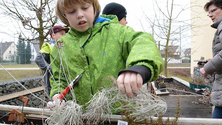 Erster Arbeitseinsatz im Melkendorfer Schulgarten: Die Grundschüler sind mit vollem Einsatz dabei! Foto: Dagmar Besand