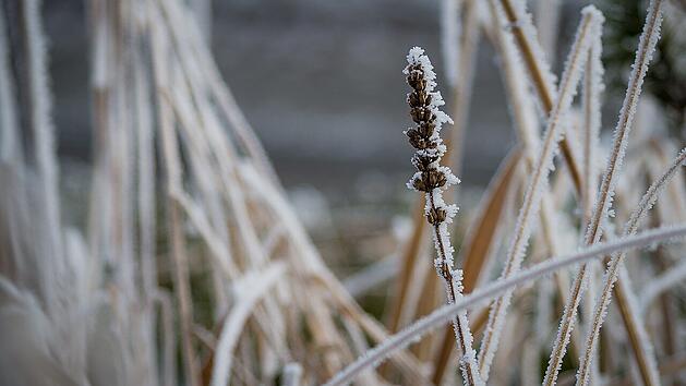 In der Zeit zwischen den Jahren scheint die Zeit stillzustehen