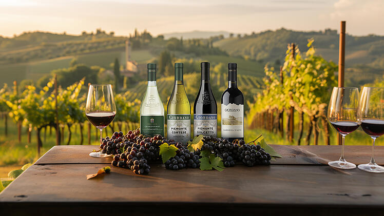 Das Piemont-Weinpaket lässt mit zehn erlesenen Flaschen keine Wünsche offen.