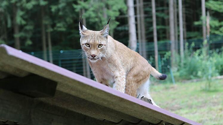 Foto: Barbara Herbst