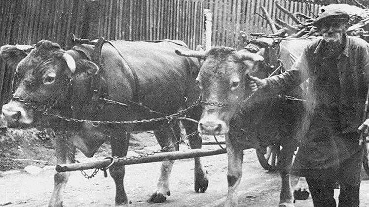 Das Foto des alten Oehrbergers aus dem Archiv Klaus Schlereth.  Repro: Katrin Kupka-Hahn