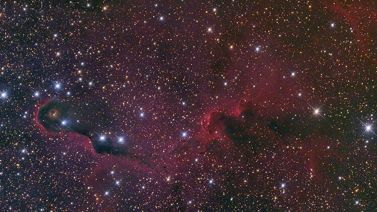 -IC 1396 wird auch Elefantenrüssel-Nebel genannt