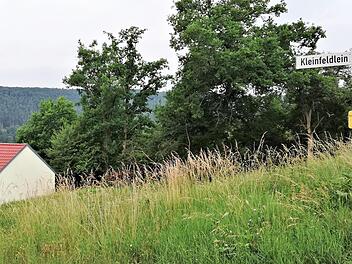 Die letzte Baulücke an der Ecke Kleinfeldlein/Rhönstraße wird bald geschlossen. Der Gemeinderat gab jetzt grünes Licht für den Bau eines Einfamilienhauses.  Foto: Sigismund von Dobschütz