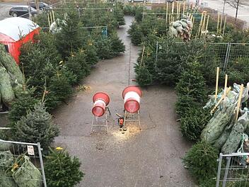 Landkreis Coburg: So teuer sind Weihnachtsbäume in diesem Jahr - Verkäufer erklärt Preissteigerung Landkreis Coburg: So teuer sind Weihnachtsbäume in diesem Jahr - Verkäufer erklärt Preissteigerung