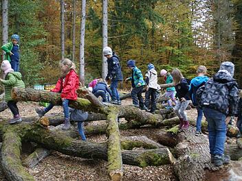Das "Totholz-Mikado" wurde natürlich sicher verschraubt, damit es als Kletterlandschaft taugt. "Superklasse", lautete das Urteil der Rauhenebracher Grundschüler.Sabine Weinbeer