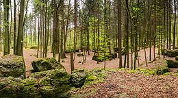 Vorschaubild