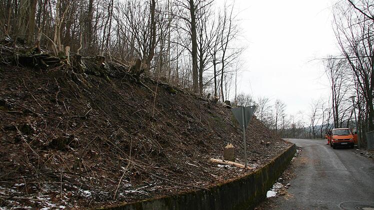 Der Hang ist jetzt freigelegt.