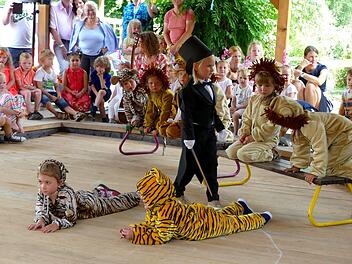 In Kulmbach protestierten Tierschützer gegen Löwen im Zirkus, aber bei Sommerfesten in Kindergärten sind sie kein Problem. Das verstehe, wer will. Symbolfoto: Archiv/Dieter Hübner